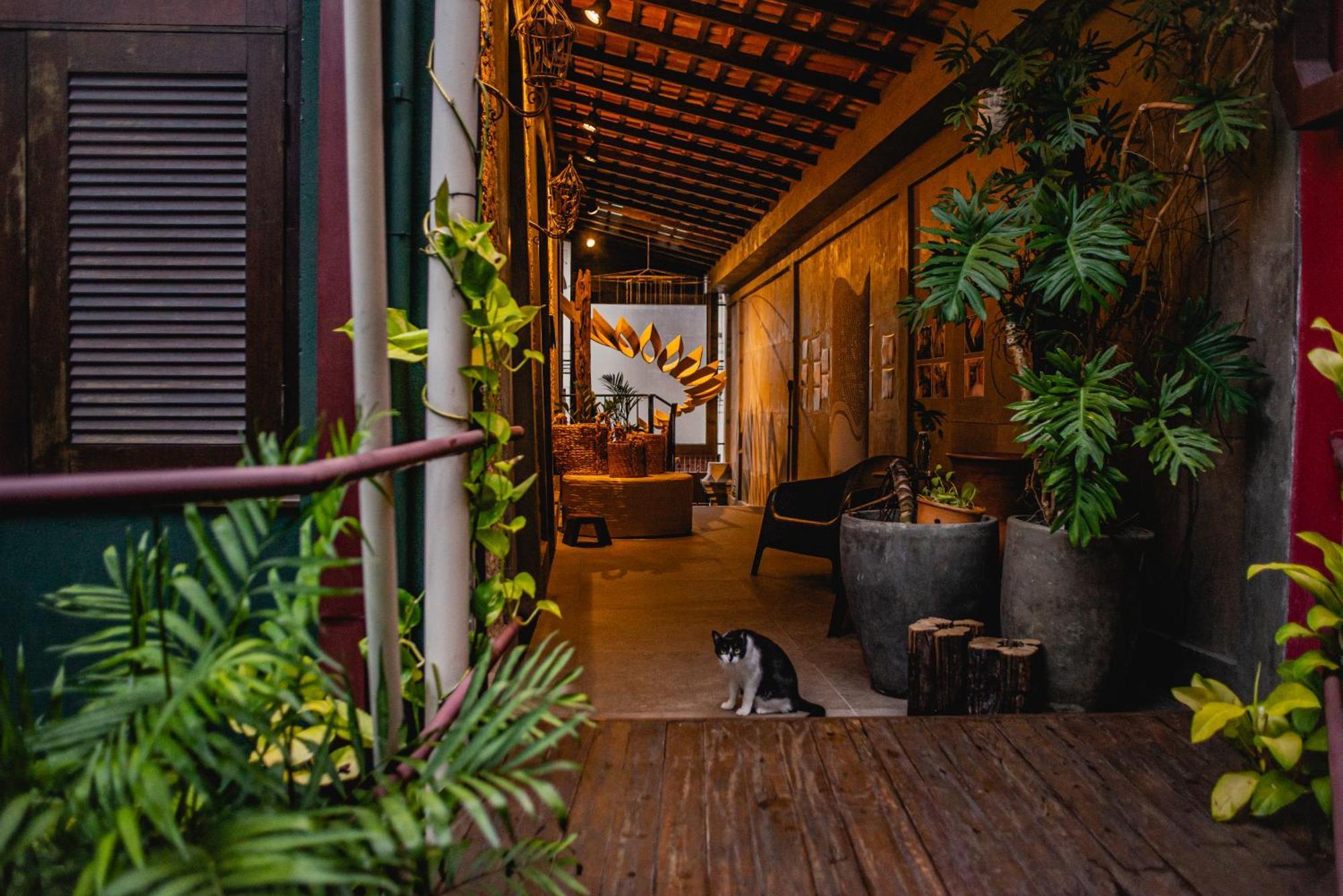 Cas'Amazonia Brasil Belém Exterior foto